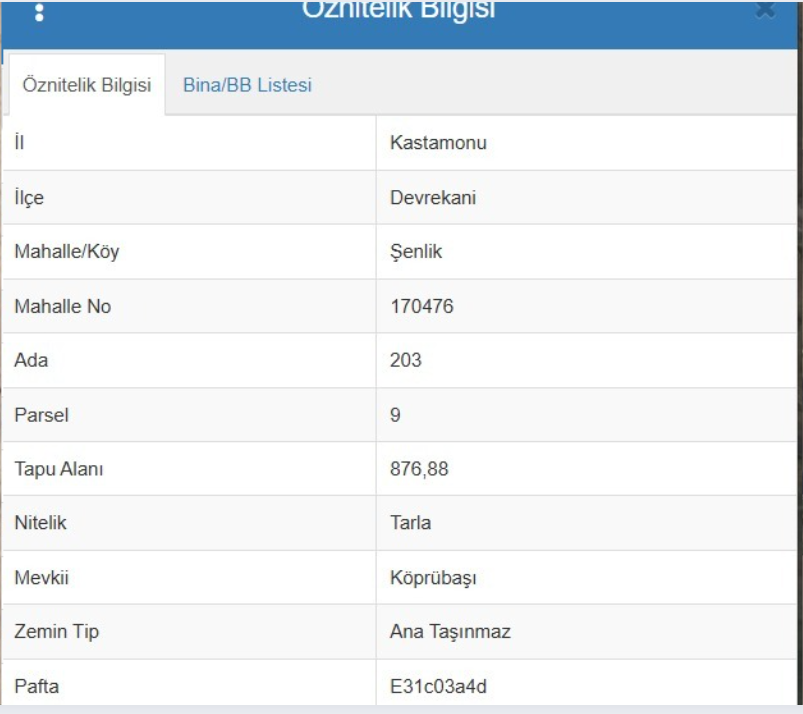 İlan Resmi